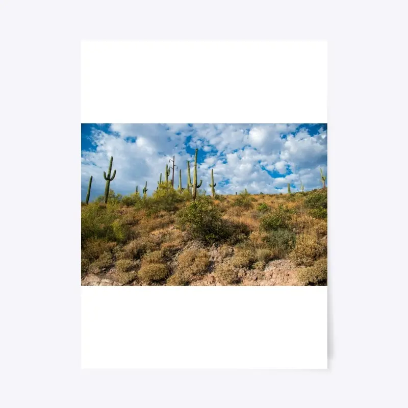 AZ Landscape 