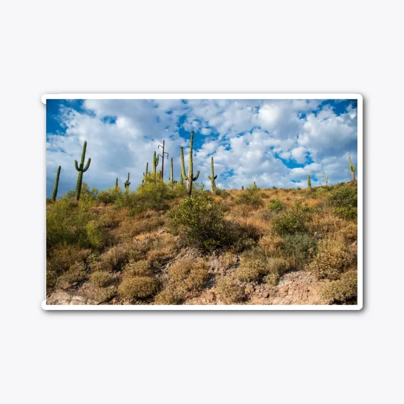 AZ Landscape 