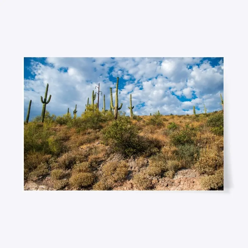 AZ Landscape 